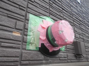DSCN6660